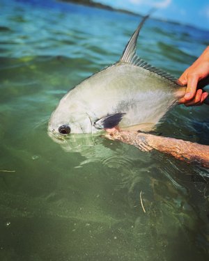 Permit Fishing