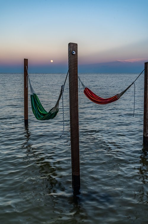 Beach Hammock