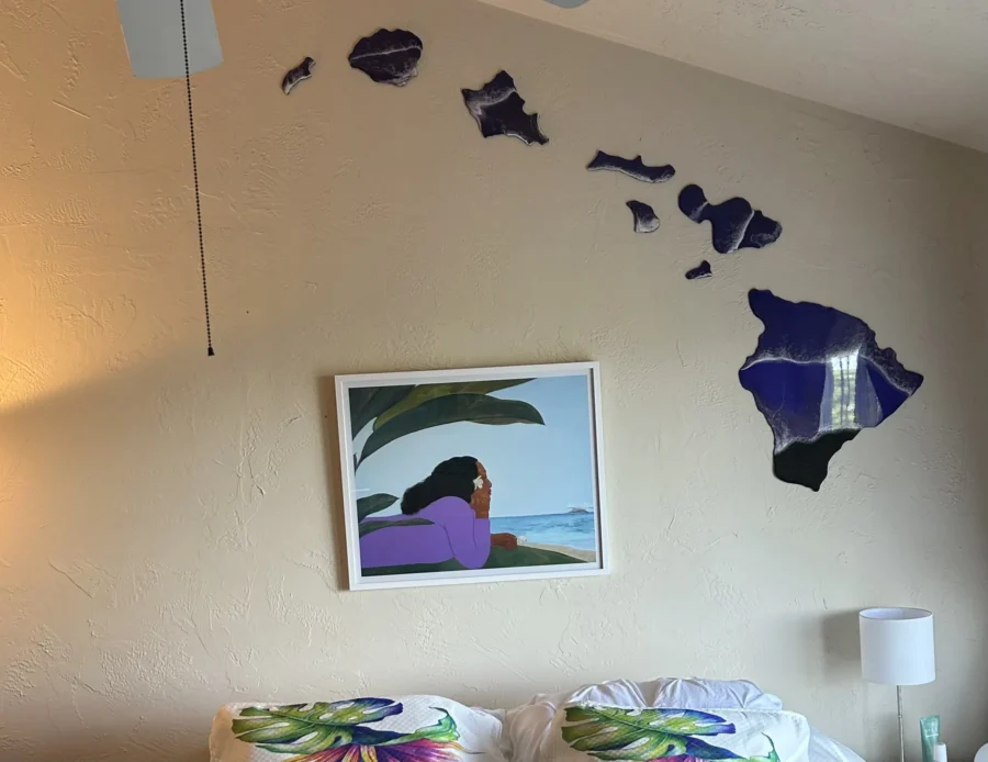 Hawaiian islands resin wall art