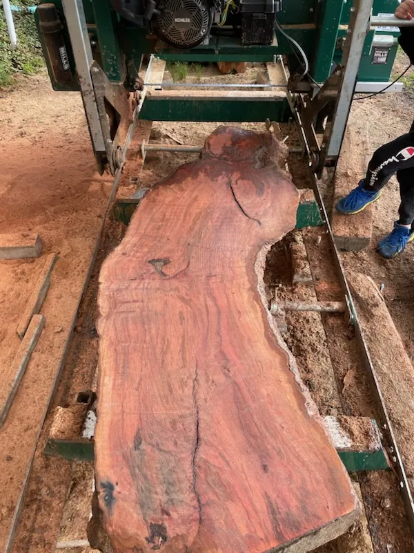 Assorted Wood Slabs