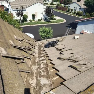 728166861726399671